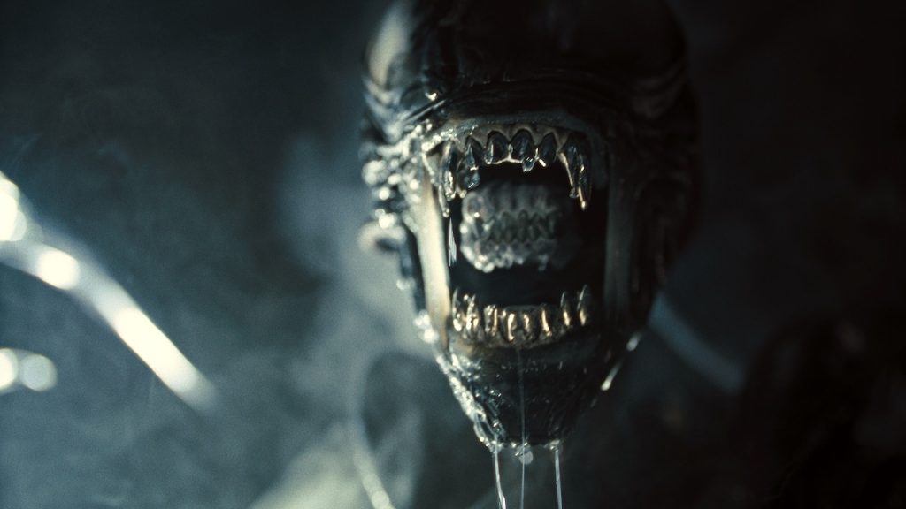 Xenomorph in Alien: Romulus. Photo courtesy of 20th Century Studios